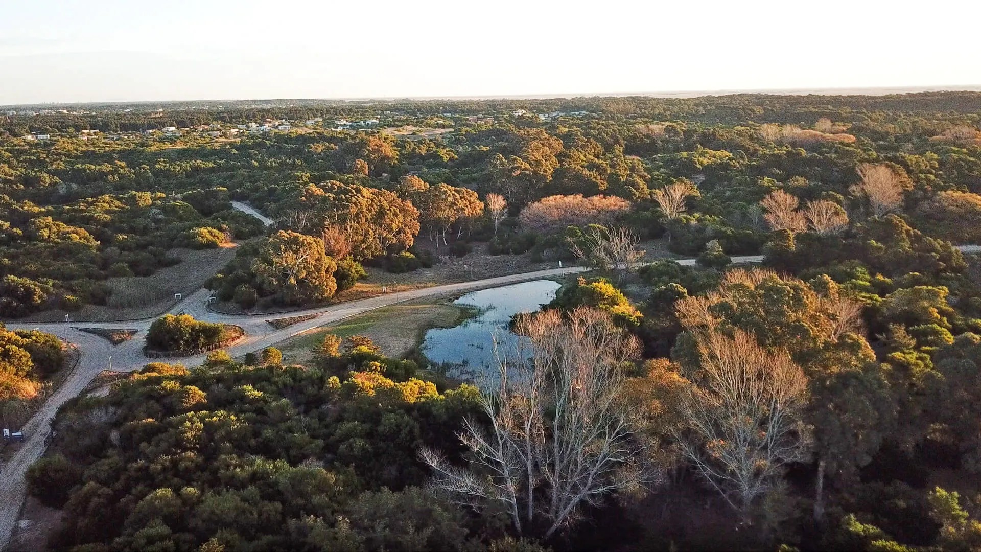 image_tooltip alt_text