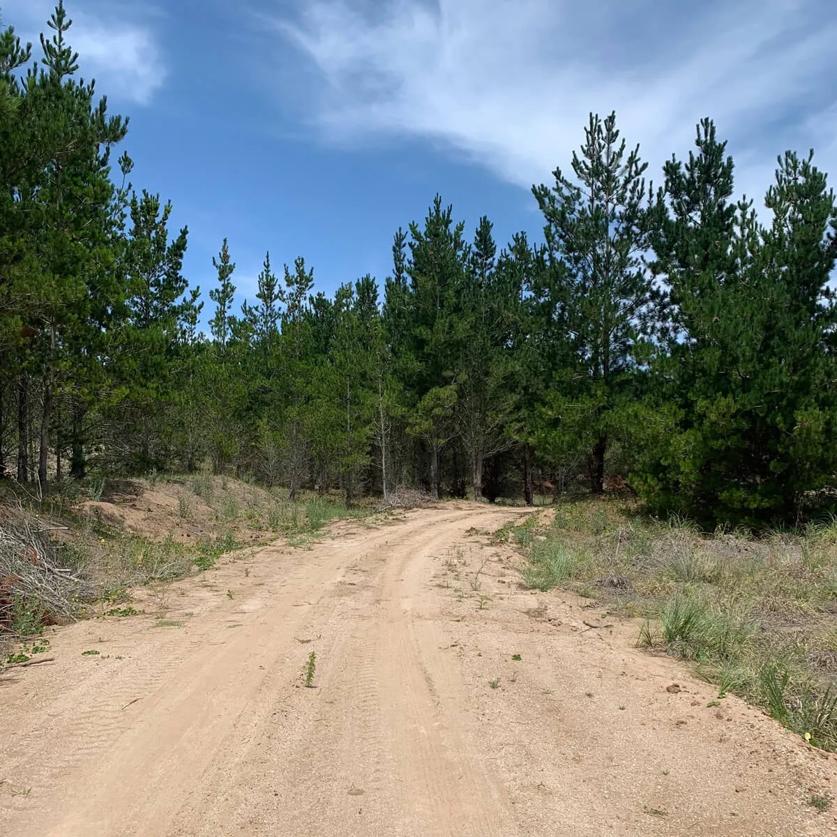 image_tooltip alt_text